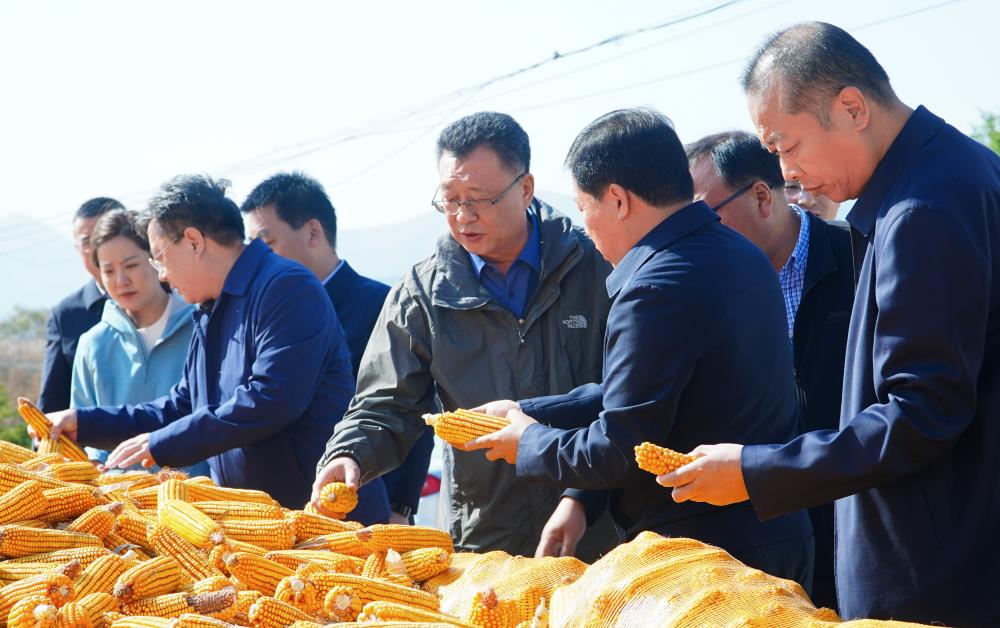 微信图片_20231030110958.jpg 微信图片_20231030110958.jpg